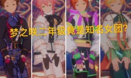 知名小花爆料视频大全集,揭秘娱乐圈幕后真相