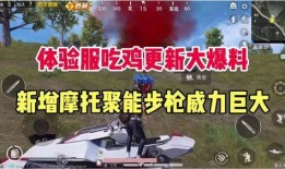 吃鸡最新更新爆料,全新玩法与优化，带你领略极致战斗体验！